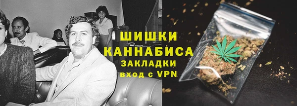 ПСИЛОЦИБИНОВЫЕ ГРИБЫ Аркадак