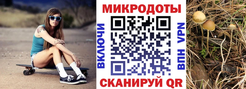 Галлюциногенные грибы мухоморы  Бабаево 